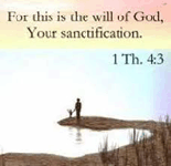 Will is Sanctification
